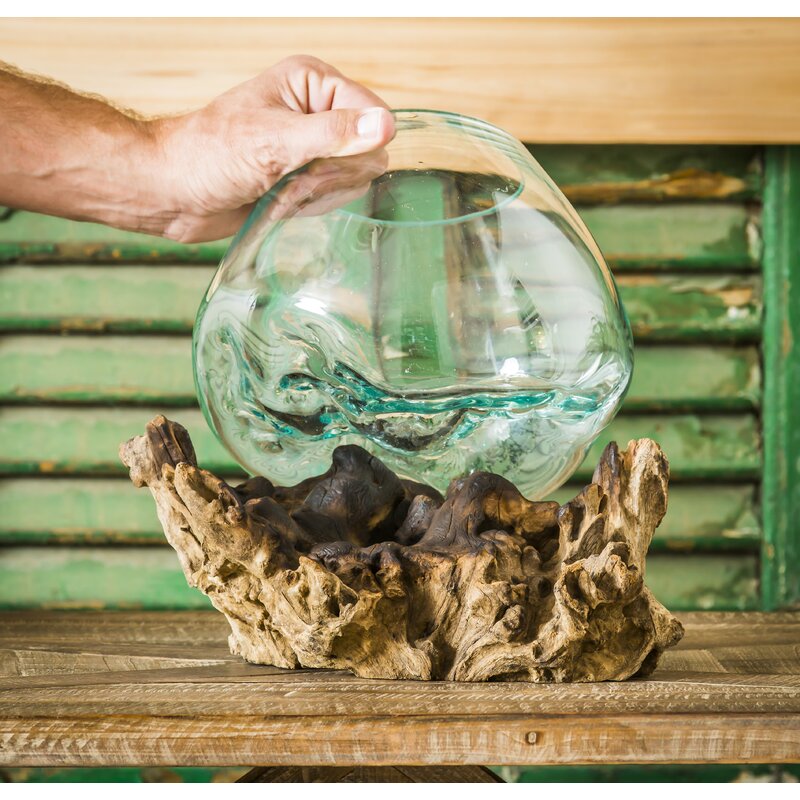 Driftwood terrarium offers